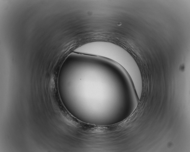 X0000099300128200805091003