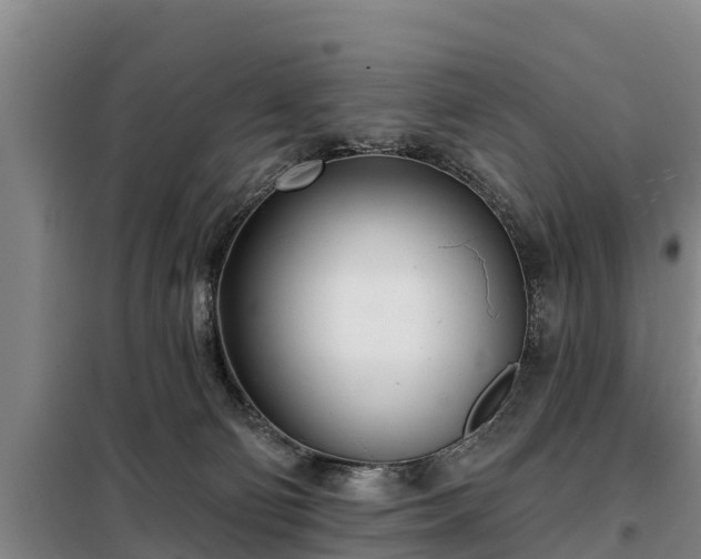 X0000099300130200805091003