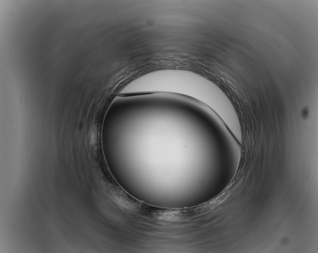 X0000099300132200805091003