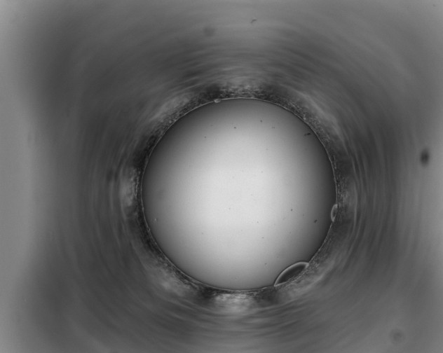 X0000099300133200805091003