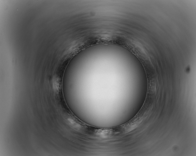 X0000099300135200805091003