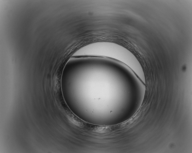 X0000099300136200805091003