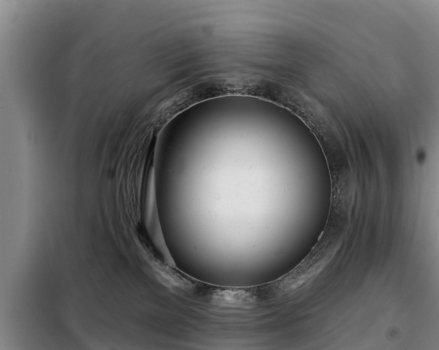 X0000099300137200805091003