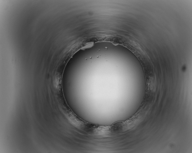 X0000099300138200805091003