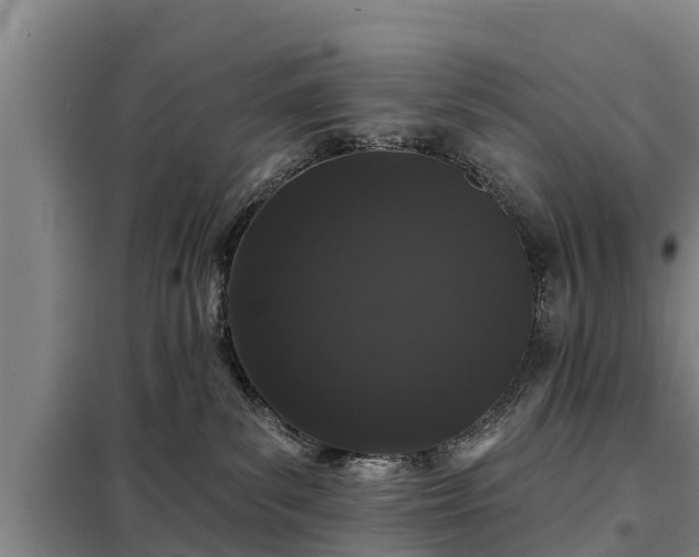 X0000099300139200805091003