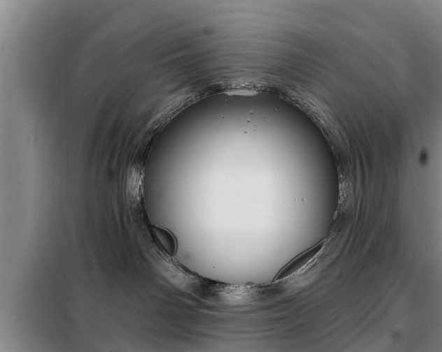 X0000099300142200805091003