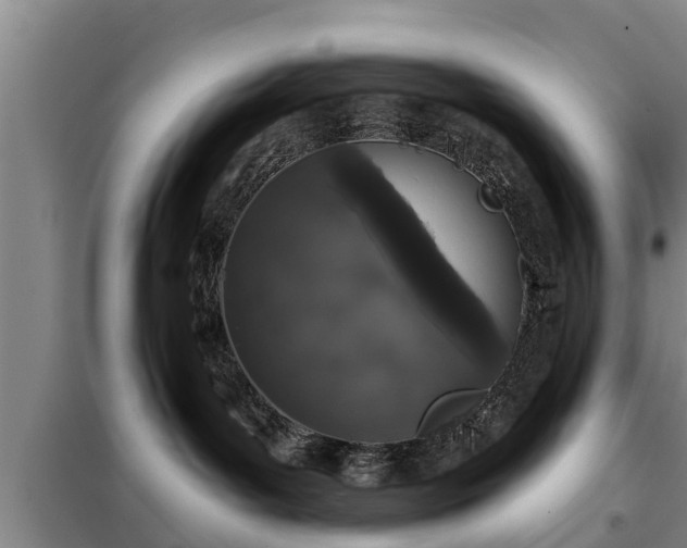 X0000099300143200805091003