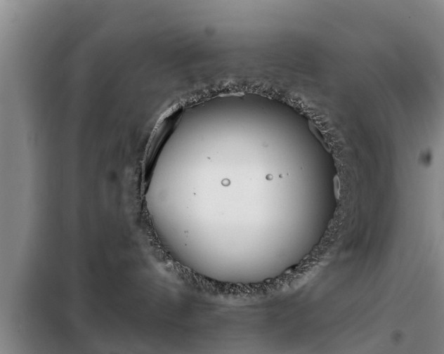 X0000099300144200805091003