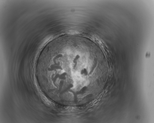 X0000099300145200805091002