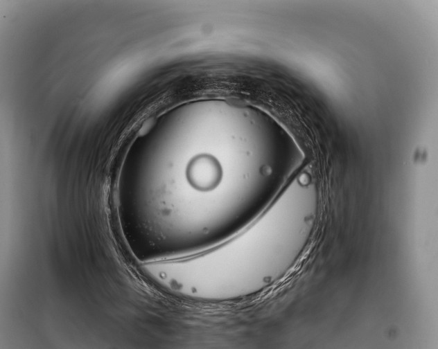 X0000099300146200805091002