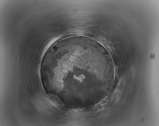 X0000099300147200805091002