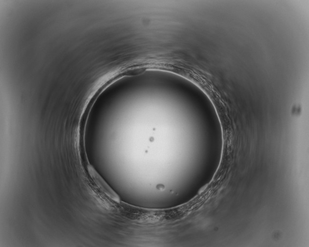 X0000099300148200805091002