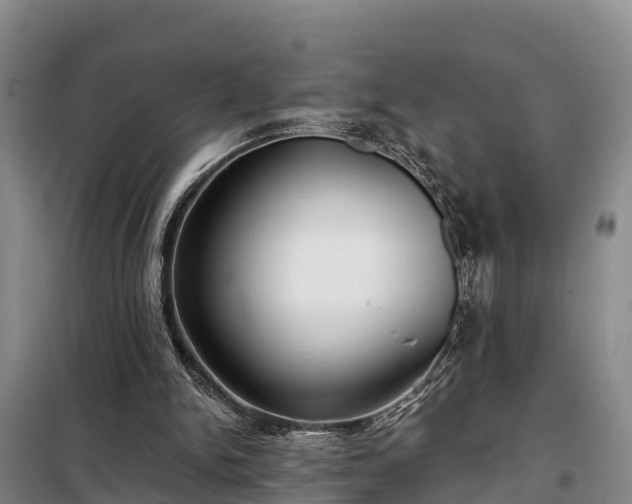 X0000099300150200805091002