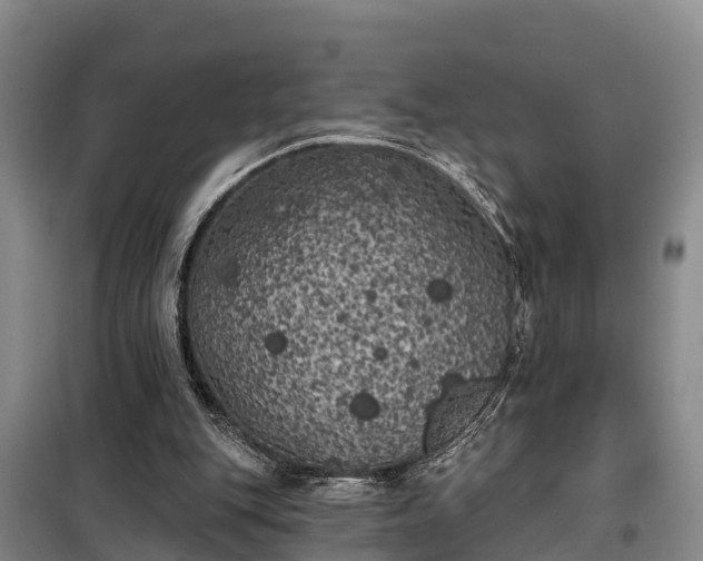 X0000099300151200805091002