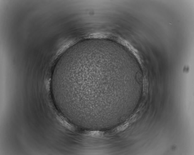 X0000099300153200805091002