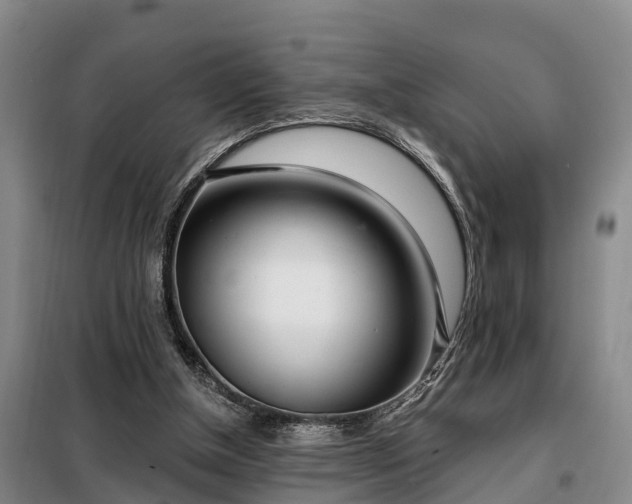 X0000099300154200805091002