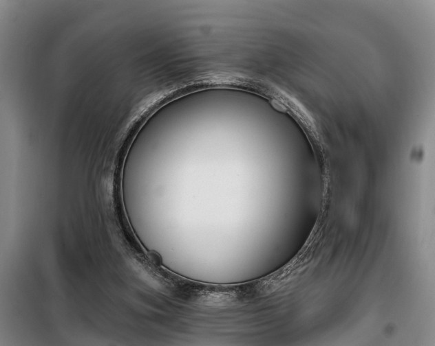 X0000099300155200805091002