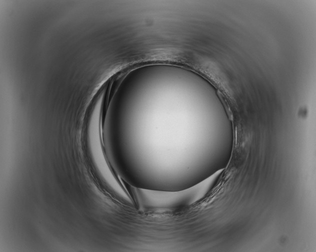 X0000099300156200805091002