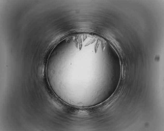 X0000099300157200805091002