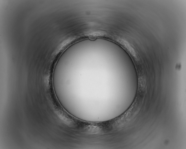 X0000099300159200805091002