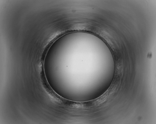 X0000099300160200805091002