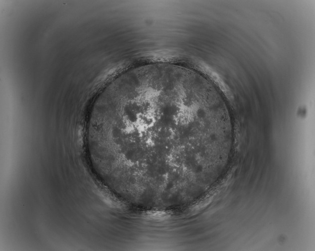 X0000099300161200805091002