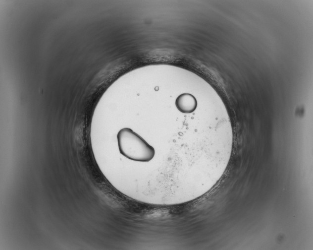 X0000099300162200805091002