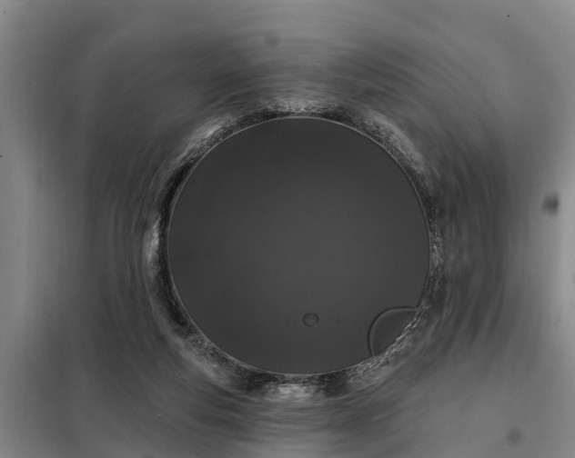 X0000099300163200805091002