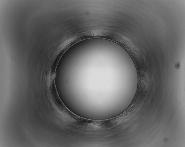 X0000099300164200805091002