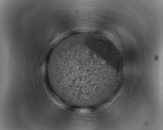 X0000099300165200805091002