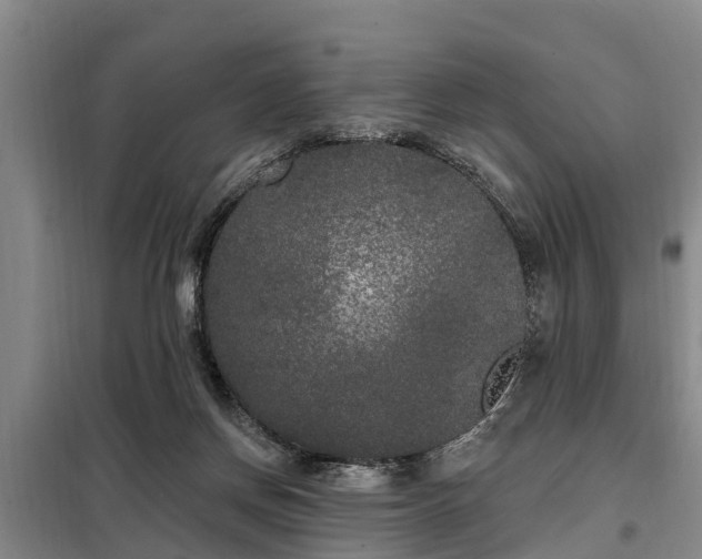 X0000099300166200805091002