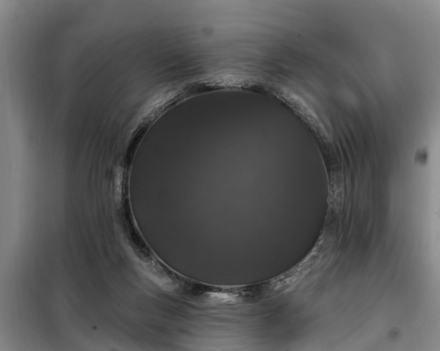 X0000099300167200805091002