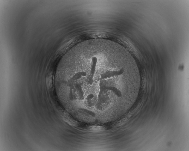 X0000099300169200805091002