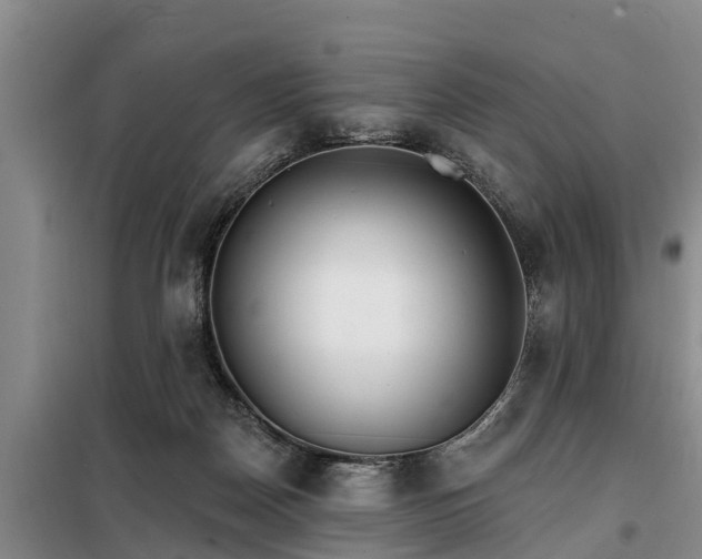 X0000099300170200805091002