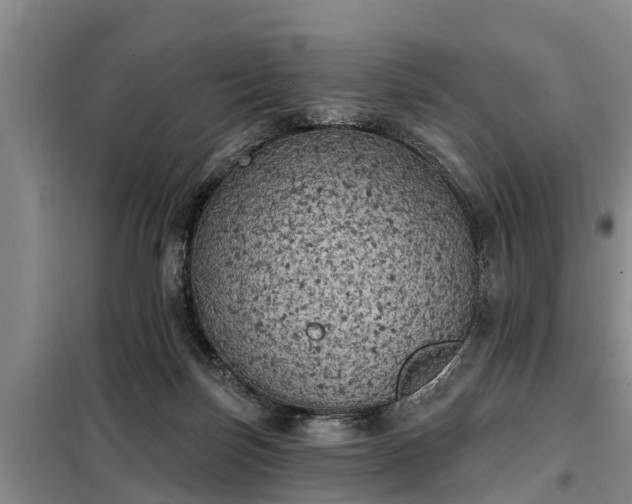 X0000099300171200805091002