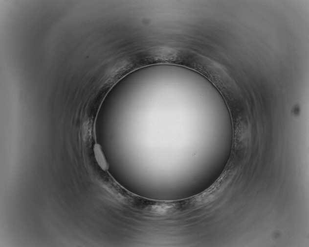 X0000099300172200805091002