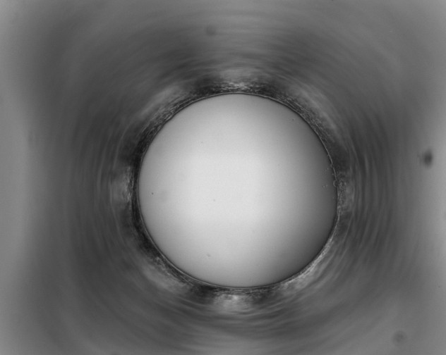 X0000099300174200805091003