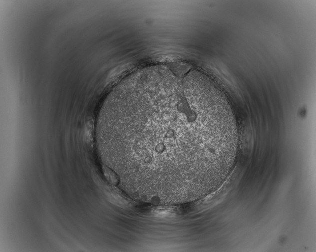 X0000099300175200805091003