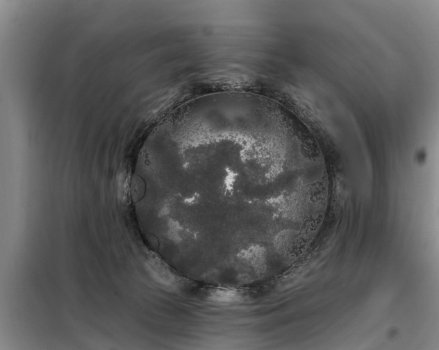 X0000099300177200805091003