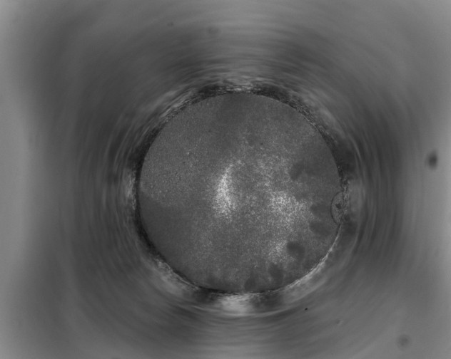 X0000099300178200805091003