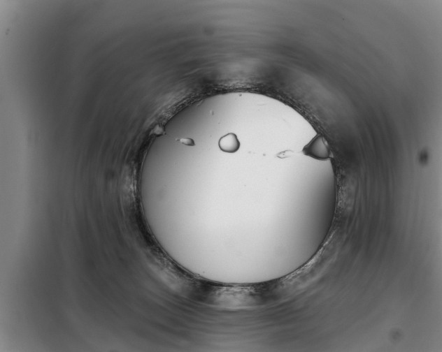 X0000099300179200805091003