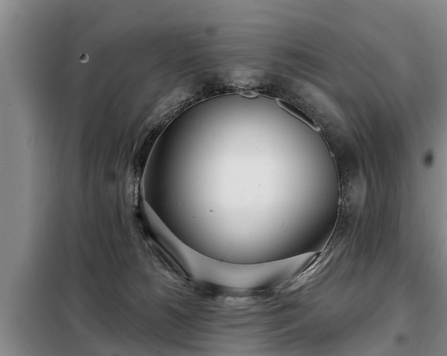 X0000099300180200805091003