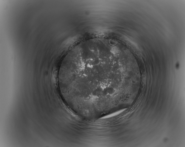 X0000099300181200805091003