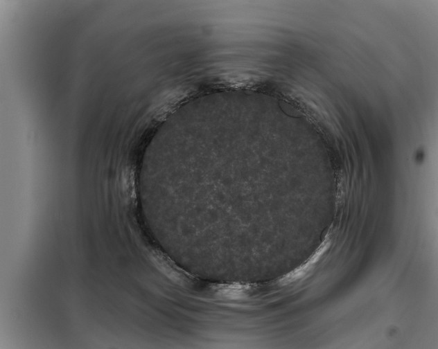 X0000099300182200805091003