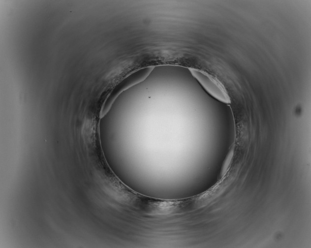 X0000099300184200805091003