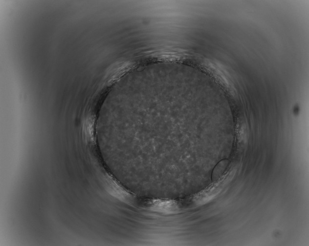 X0000099300185200805091003