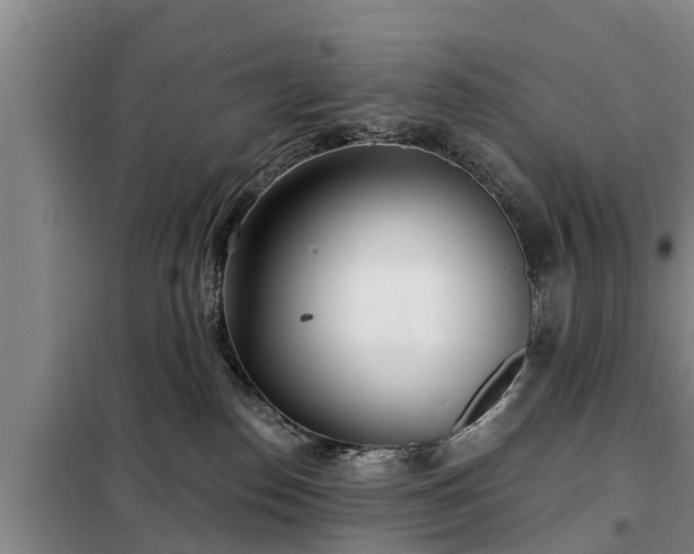 X0000099300186200805091003