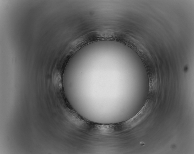 X0000099300187200805091003