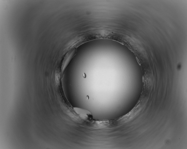 X0000099300188200805091003