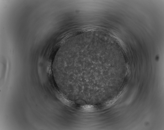 X0000099300189200805091003